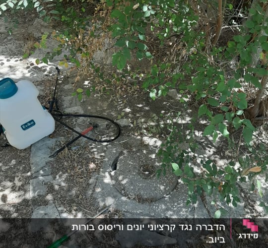 מיכל ריסוס וכלי עבודה על הקרקע ליד שיחים